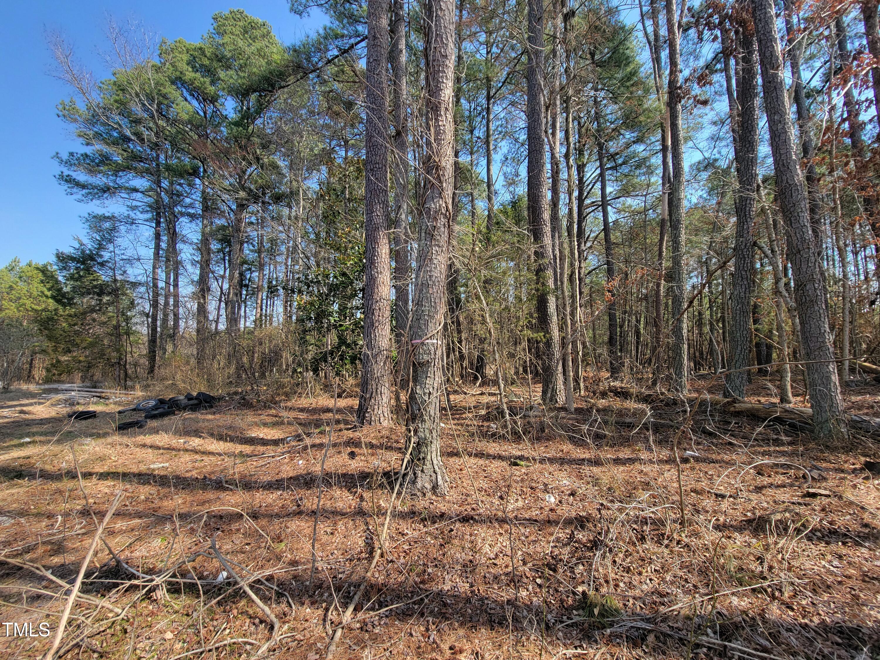 2506 Coley Road Durham, NC 27703 - Photo 16 of 20 a backyard of a house with lots of green space