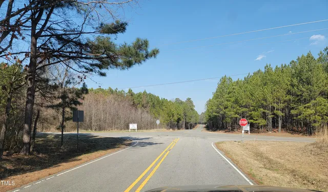 a row of palm trees and a yard