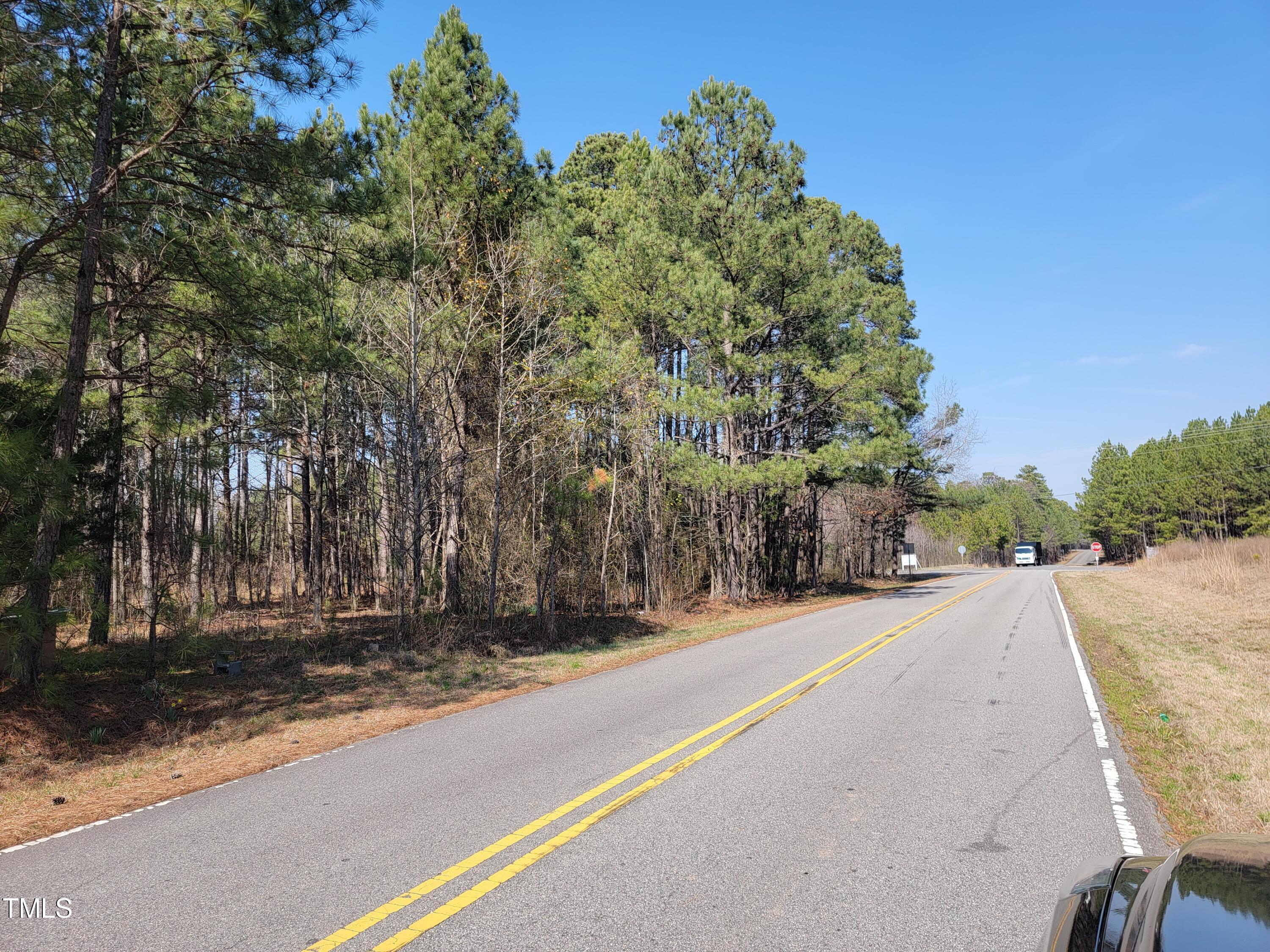 2506 Coley Road Durham, NC 27703 - Photo 4 of 20 a row of palm trees and a yard