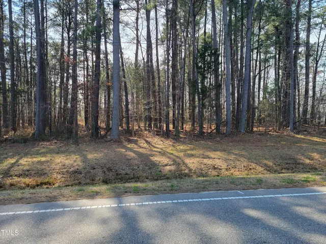a view of a yard with large trees