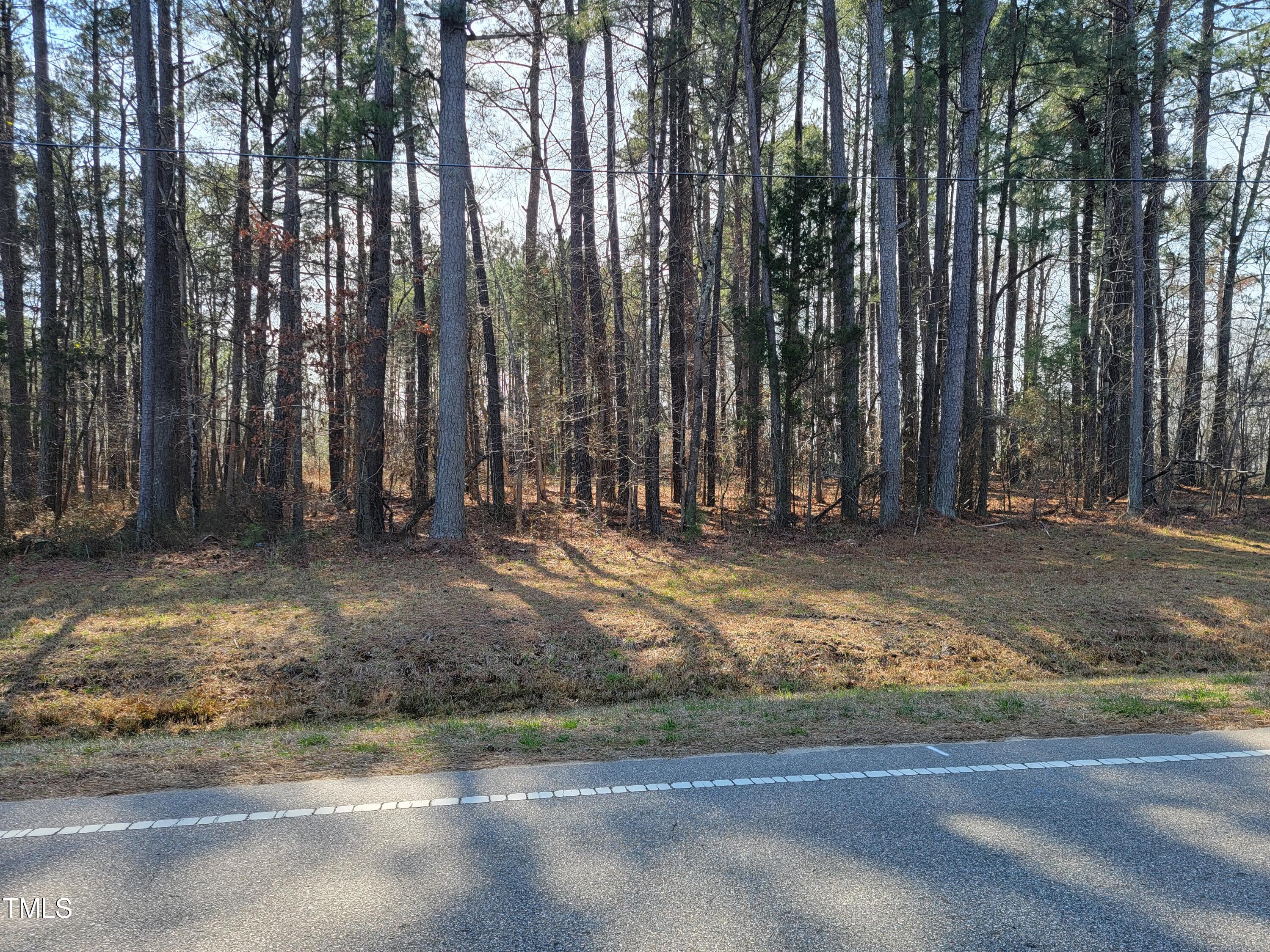 2506 Coley Road Durham, NC 27703 - Photo 8 of 20 a view of outdoor space with trees