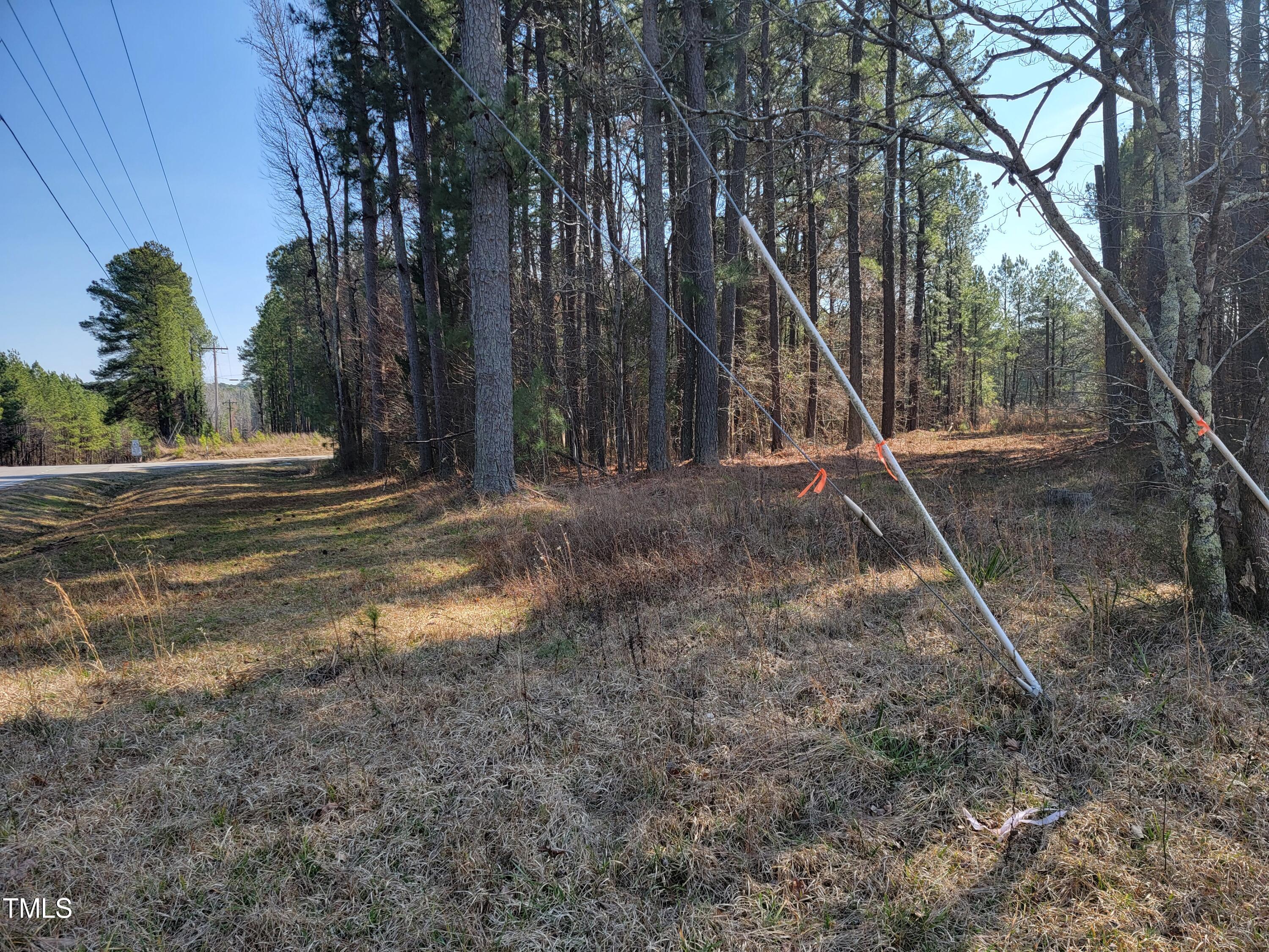 2506 Coley Road Durham, NC 27703 - Photo 10 of 20 a backyard of a house with lots of green space