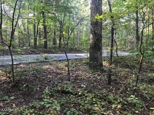 8 Mountain View Road Benton, TN 37307 - Photo 4 of 11