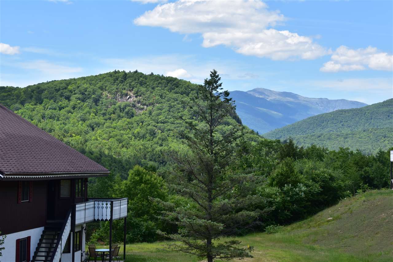 D16 Christmas Mountain Road Intervale, NH 03845 - Photo 1 of 38 Gallery Image 1