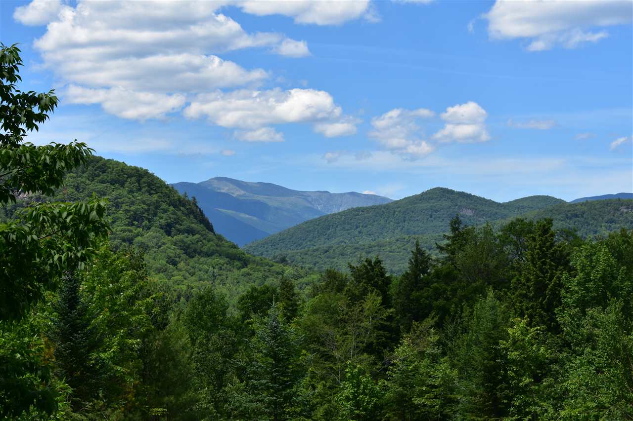 D16 Christmas Mountain Road Intervale, NH 03845 - Photo 18 of 38 Gallery Image 18