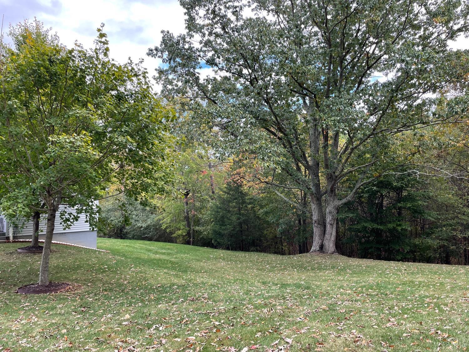 189 Pauls Road Rustburg, VA 24588 - Photo 26 of 28 Gallery Image 26