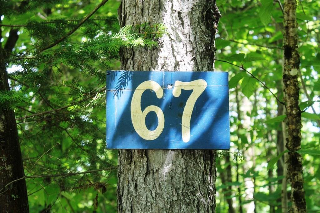 67 Rum Ridge Road Greenville, ME 04441 - Photo 3 of 19 Photo