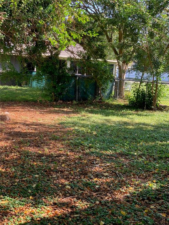 256 Village View Lane Lakeland, FL 33809 - Photo 7 of 8 a backyard of a house with lots of green space