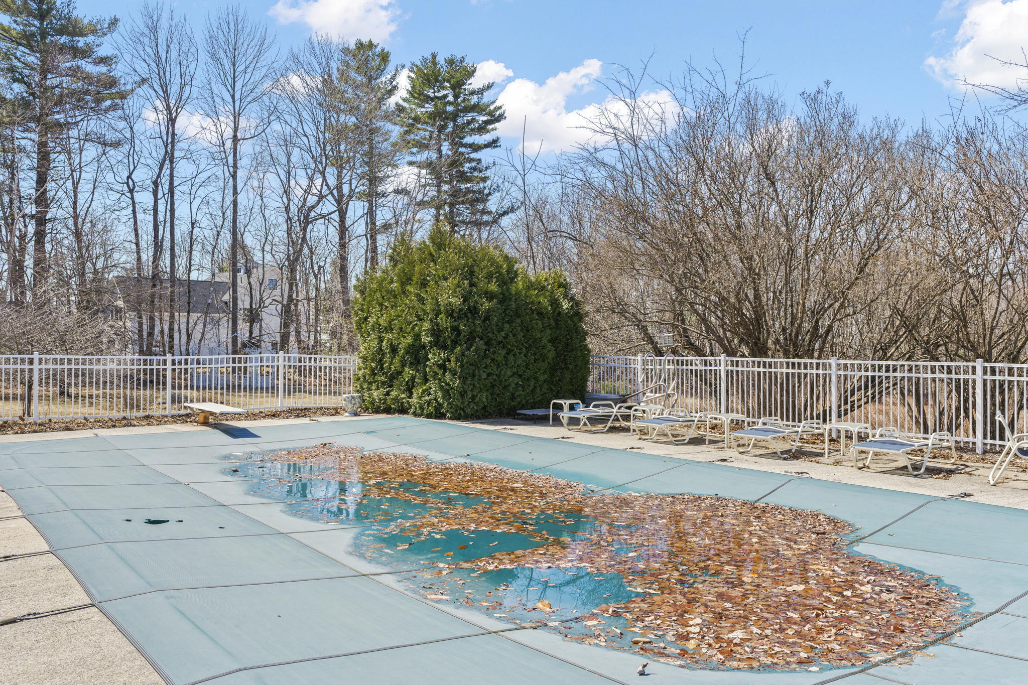328 Blackstrap Road Falmouth, ME 04105 - Photo 13 of 69 7-web-or-mls-DSC02626