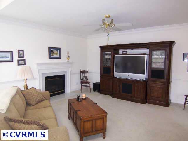 1130 Goswick Ridge Road Midlothian, VA 23114 - Photo 5 of 10 a living room with furniture and a fireplace