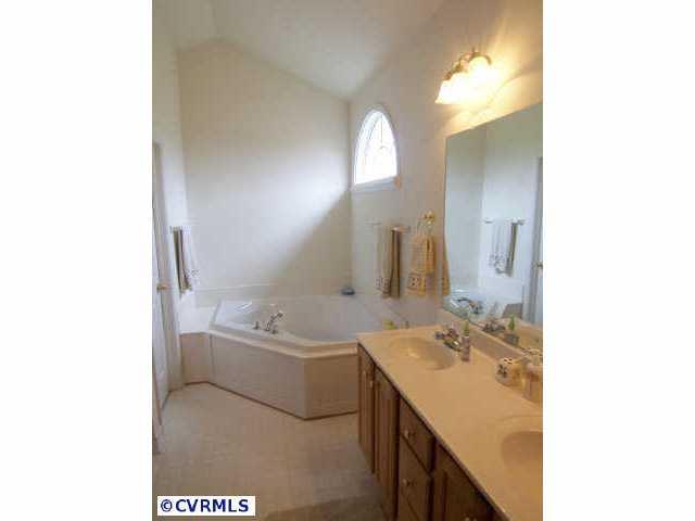1130 Goswick Ridge Road Midlothian, VA 23114 - Photo 9 of 10 a spacious bathroom with a sink a mirror and a bathtub