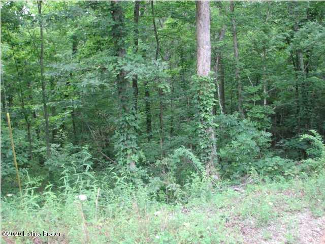 Lot 13-14 Cub Run, Unit 13 & 14 Cub Run, KY 42729 - Photo 16 of 25 15