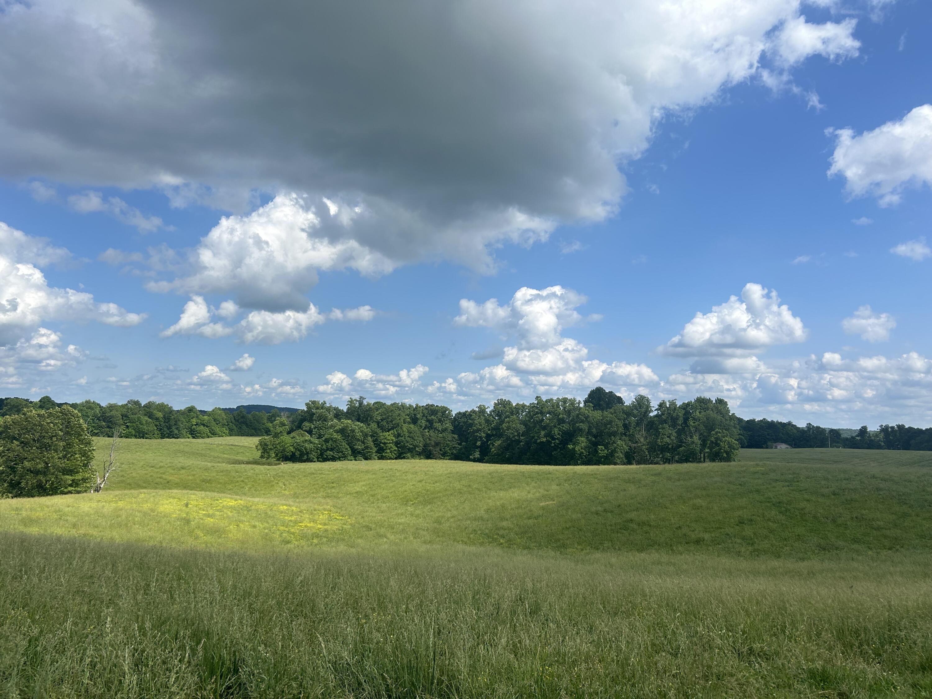 9999 Gosser Ridge Road Russell Springs, KY 42642 - Photo 1 of 42 Farm russell co 10