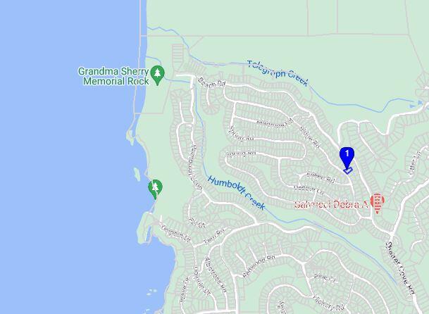 181 Ridge Road Shelter Cove, CA 95589 - Photo 3 of 9