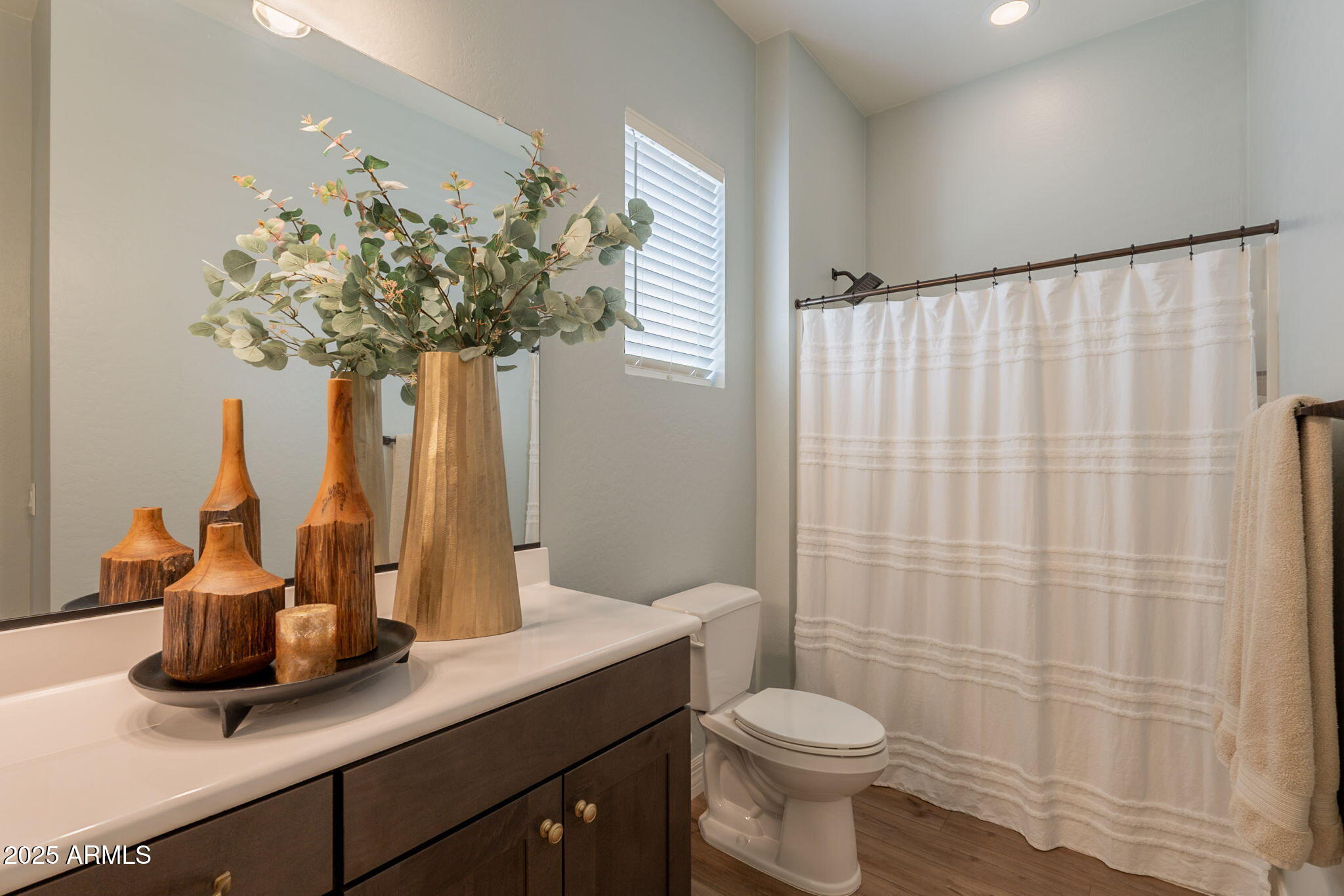 22863 East Russet Road Queen Creek, AZ 85142 - Photo 48 of 77 a bathroom with a sink a toilet and shower curtain