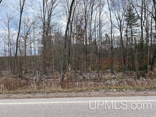 Tbd 16 Mile Lk Road Munising, MI 49862 - Photo 1 of 1