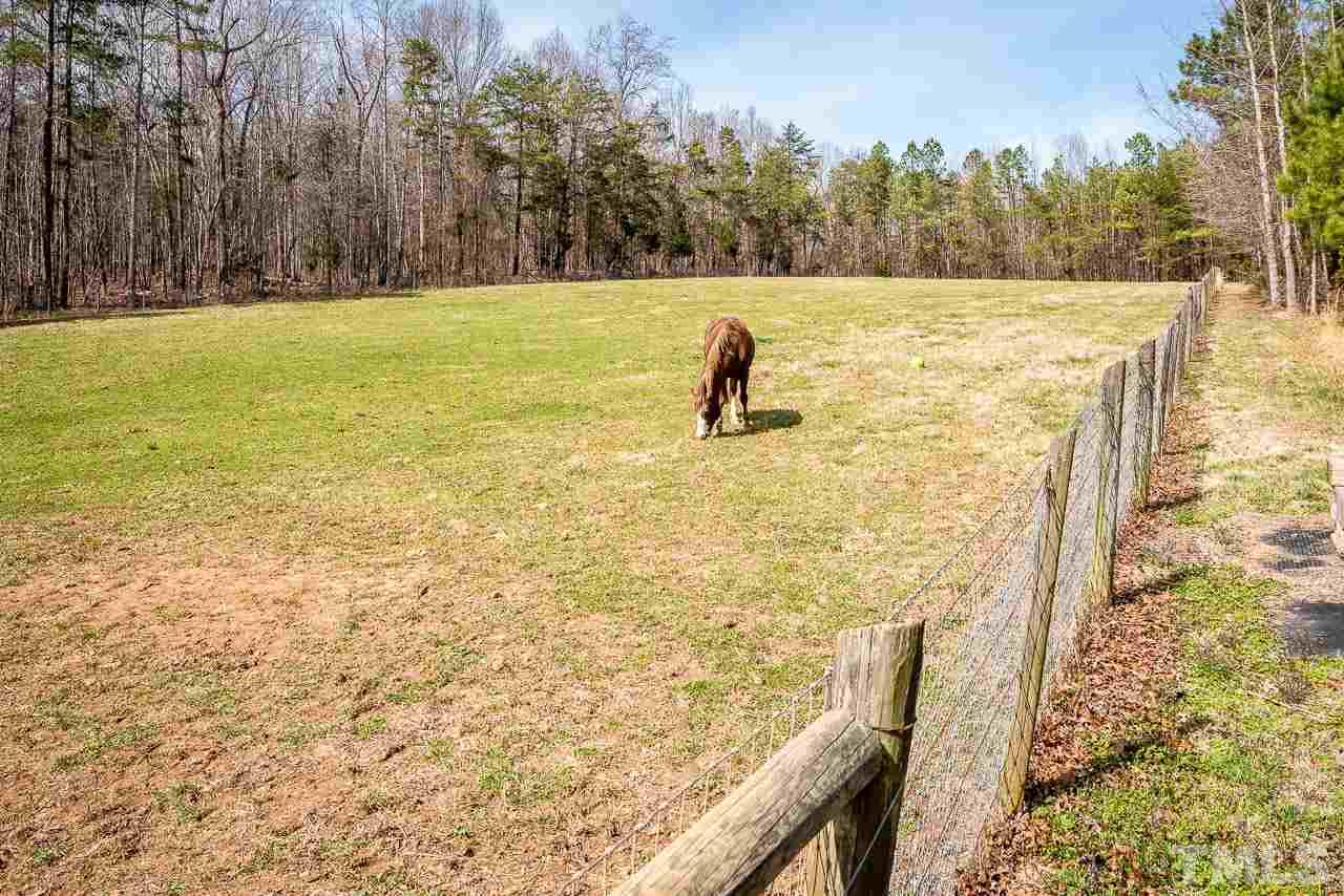 6000 Guess Road Rougemont, NC 27572 - Photo 29 of 30
