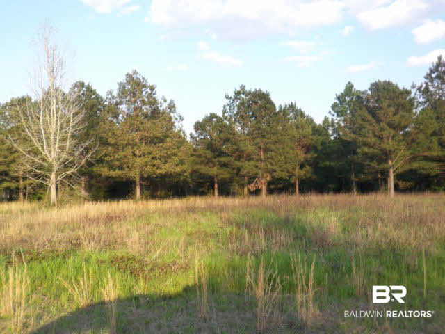 232 Horseshoe Road Brewton, AL 36426 - Photo 1 of 1
