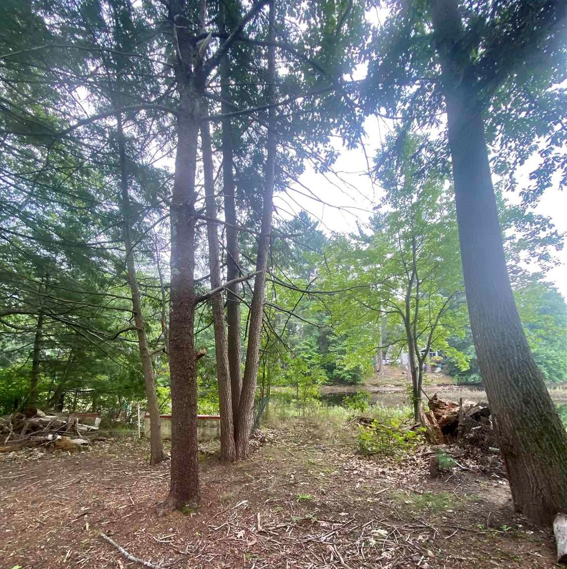 70 Tibbetts Road Fremont, NH 03044 - Photo 1 of 1