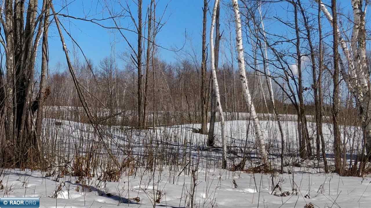 2402-tdb Tupper Road Cohasset, MN 55721 - Photo 2 of 9 Gallery Image 2
