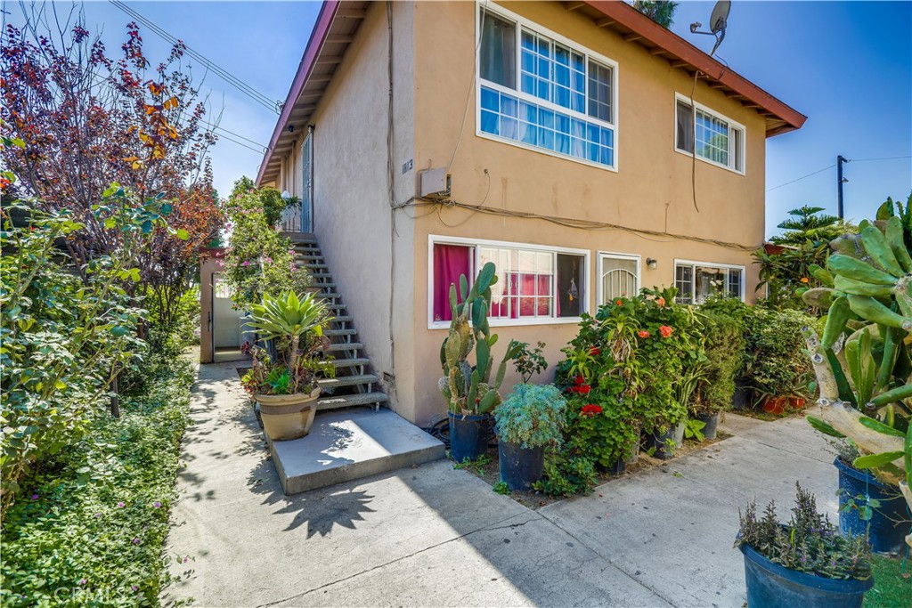 a potted plant sitting in front of a house