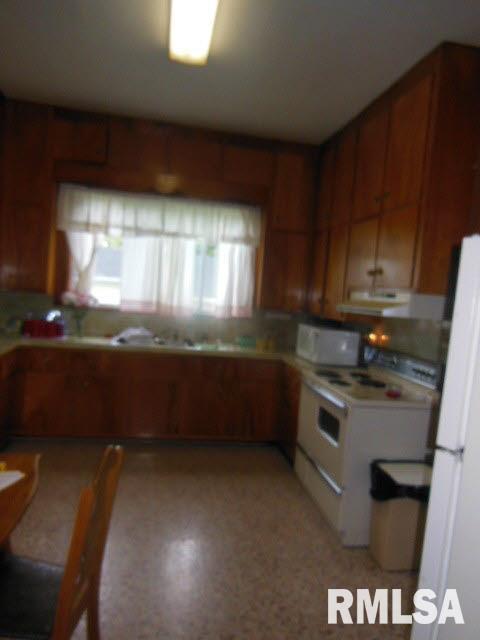 1213 North Locust Street Flora, IL 62839 - Photo 3 of 27 Gallery Image 3