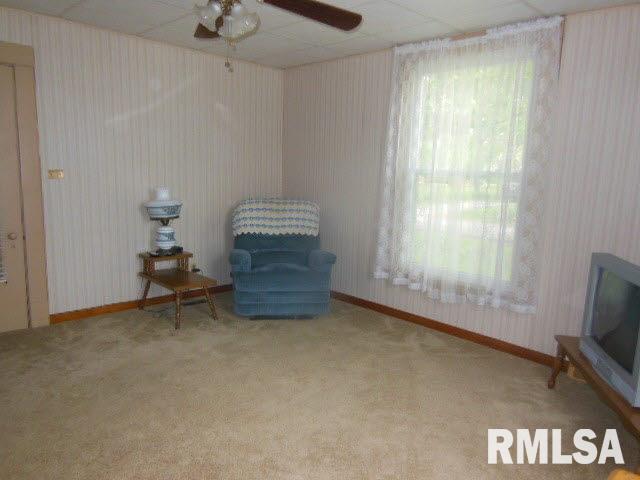 1213 North Locust Street Flora, IL 62839 - Photo 10 of 27 Gallery Image 10