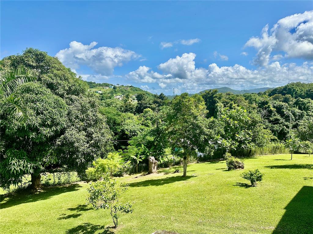 8 Calle 8 Final Rio Grande, PR 00745 - Photo 9 of 27