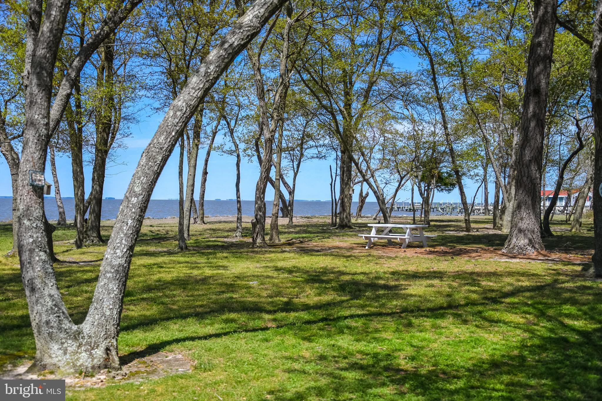 10820 Shores Road Deal Island, MD 21821 - Photo 32 of 56