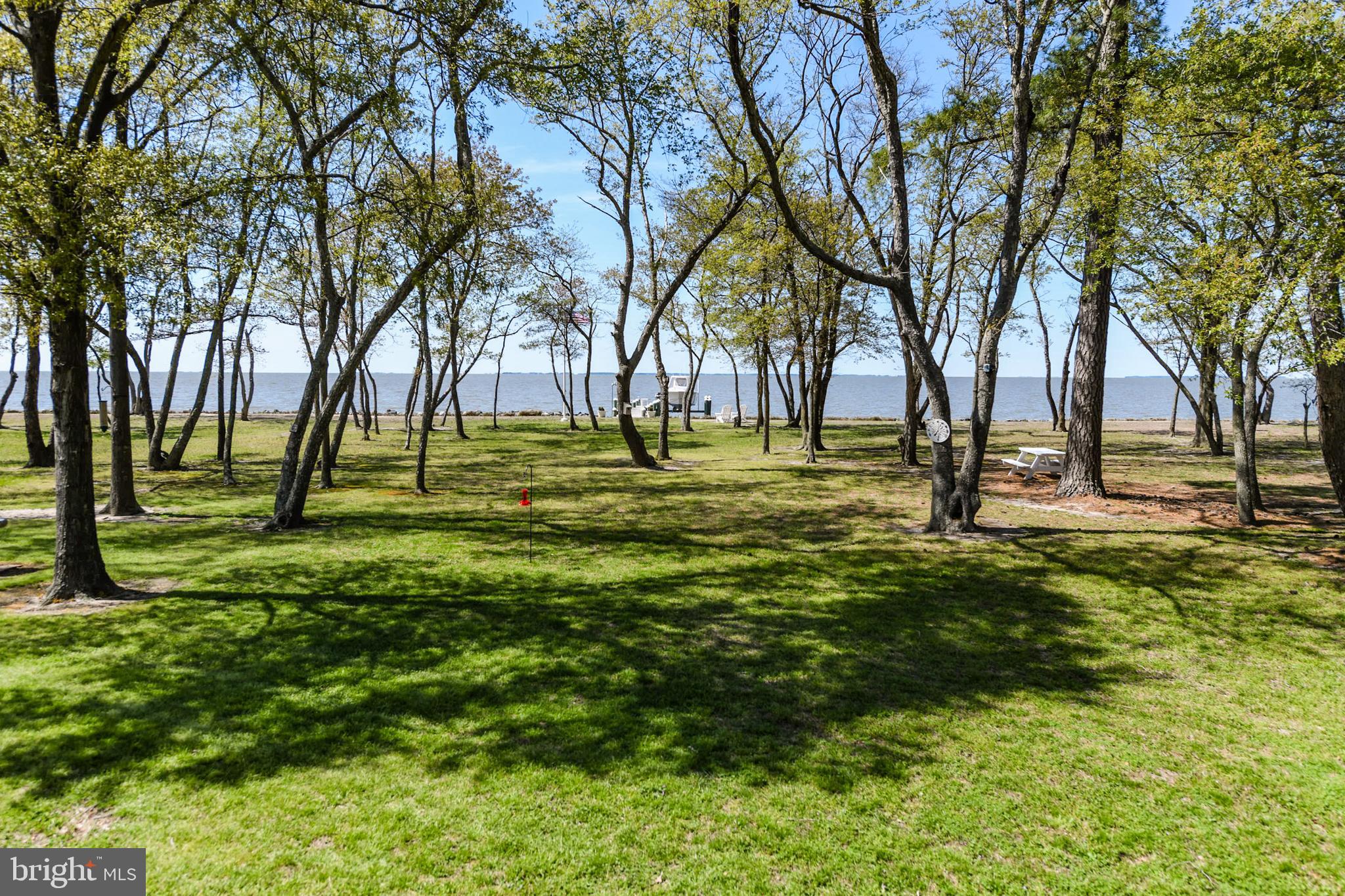 10820 Shores Road Deal Island, MD 21821 - Photo 46 of 56