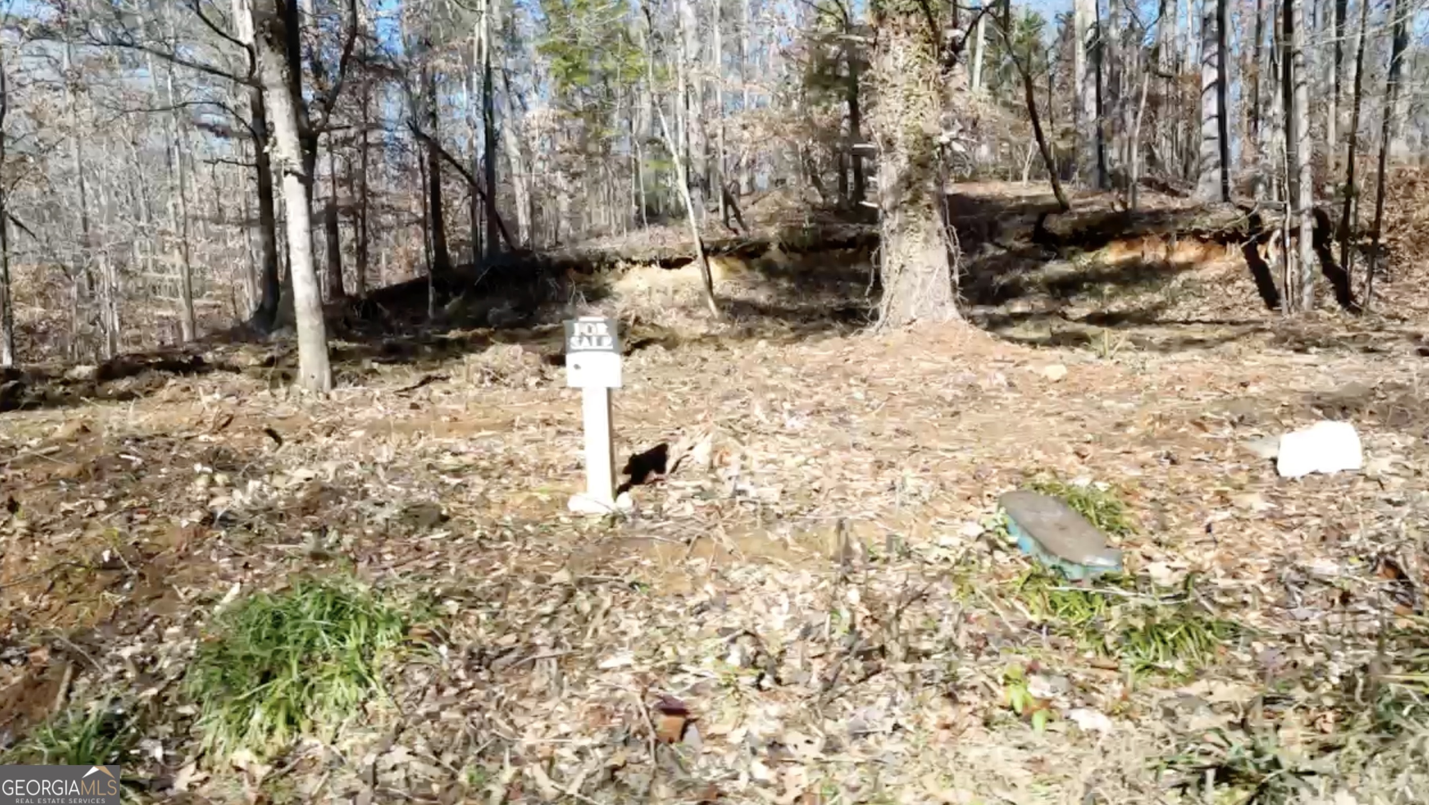 6137 Little Ridge Road, Unit LOT #3 Acworth, GA 30102 - Photo 5 of 39 a view of covered with snow