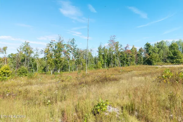 $50,000 | Flat Rock Road, Jamestown, TN 38556