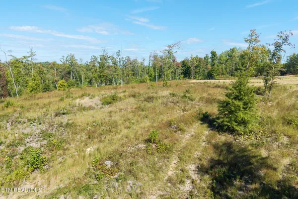 $50,000 | Flat Rock Road, Jamestown, TN 38556