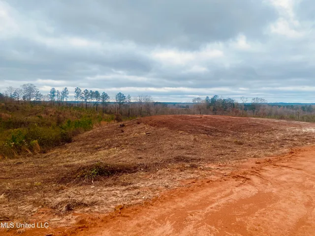 $25,000 | St Anne Road, Carthage, MS 39051