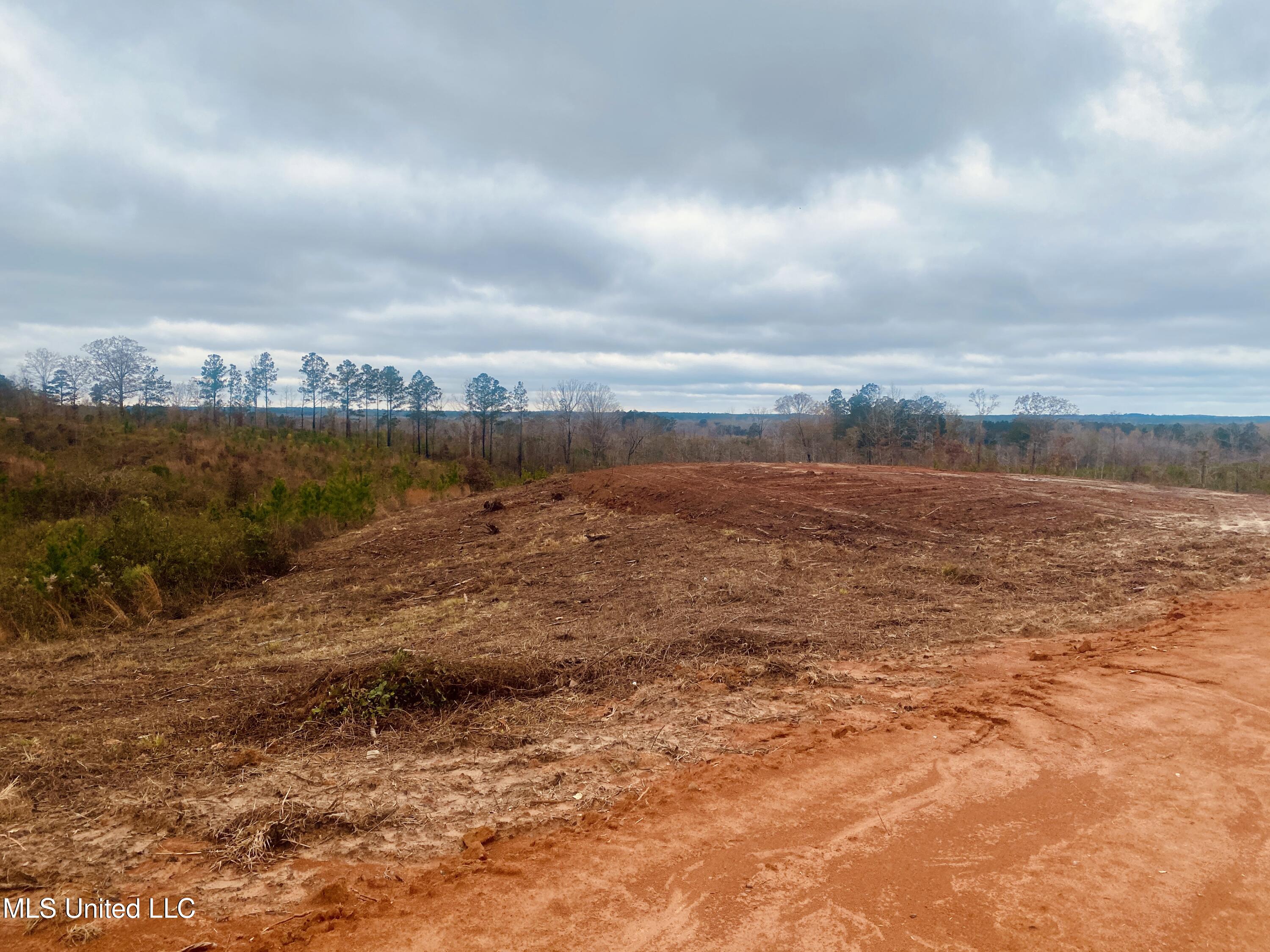 St Anne Road Carthage, MS 39051 - Photo 2 of 7 IMG_1333