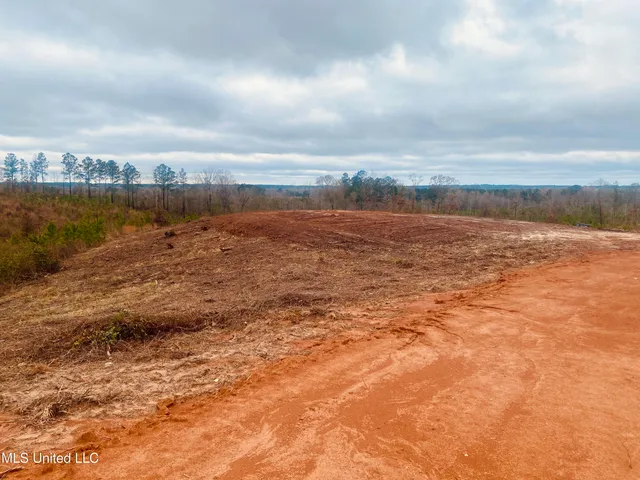 $25,000 | St Anne Road, Carthage, MS 39051