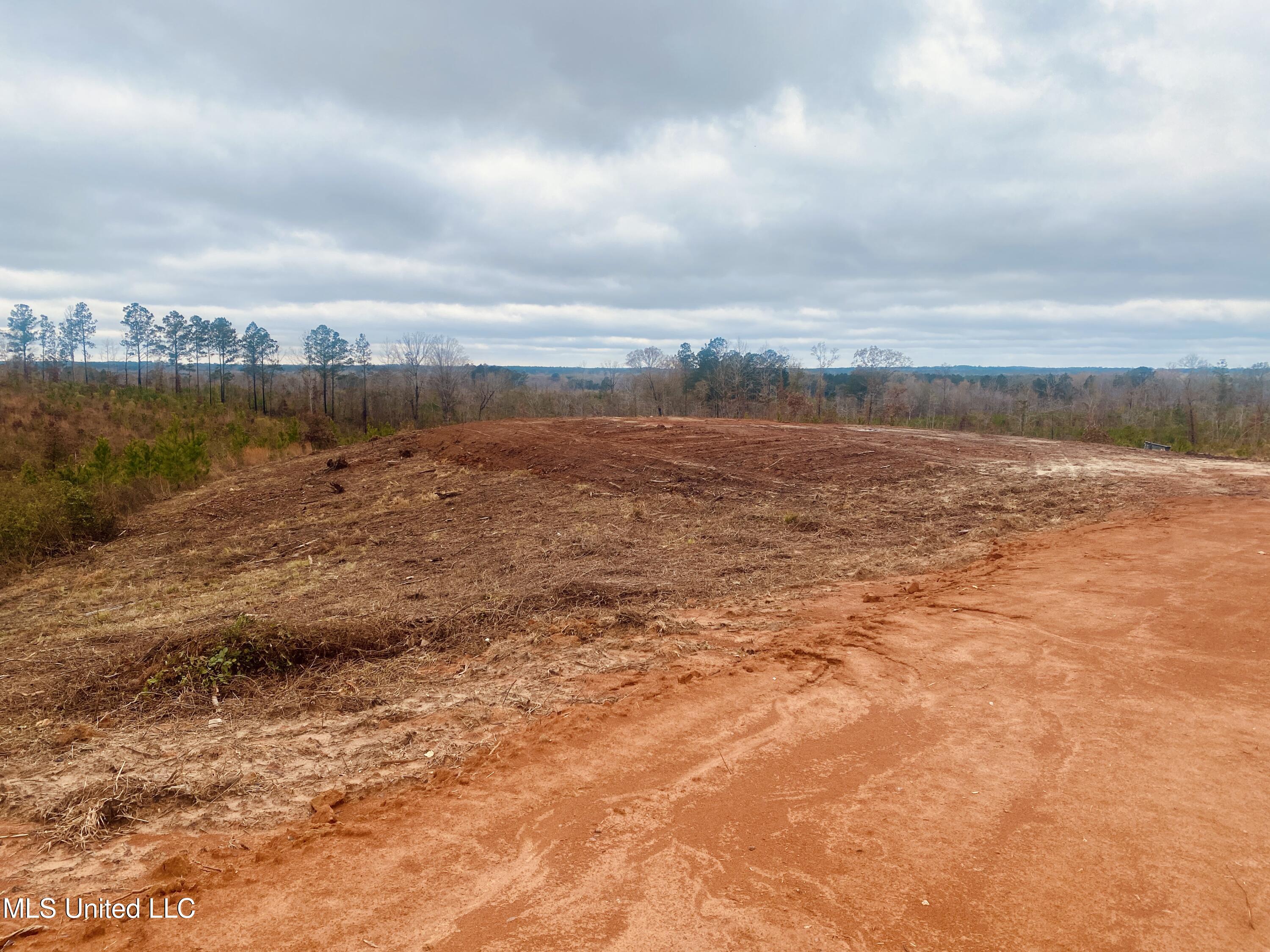 St Anne Road Carthage, MS 39051 - Photo 3 of 7 IMG_1334