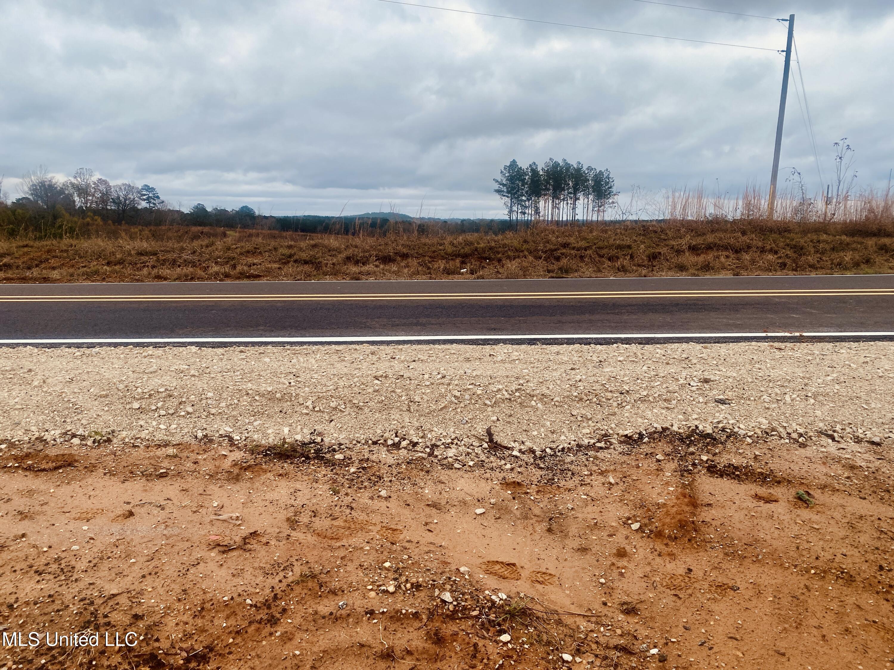 St Anne Road Carthage, MS 39051 - Photo 5 of 7 IMG_1337