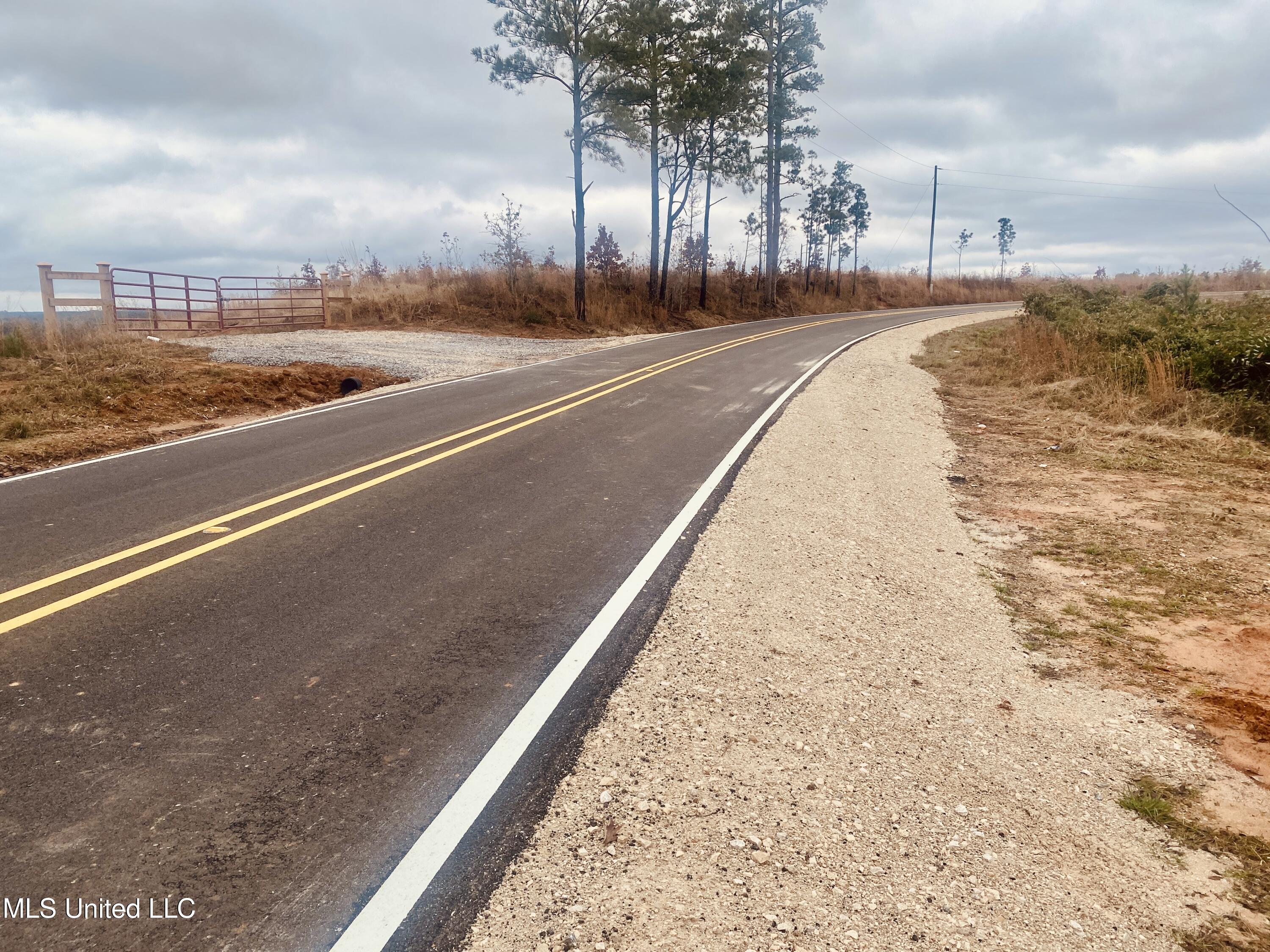 St Anne Road Carthage, MS 39051 - Photo 7 of 7 IMG_1339