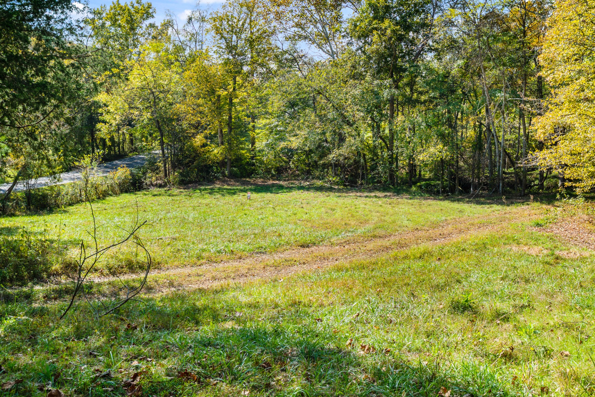 0 Buck Smith Palmyra, TN 37142 - Photo 15 of 28 a view of a field with an trees