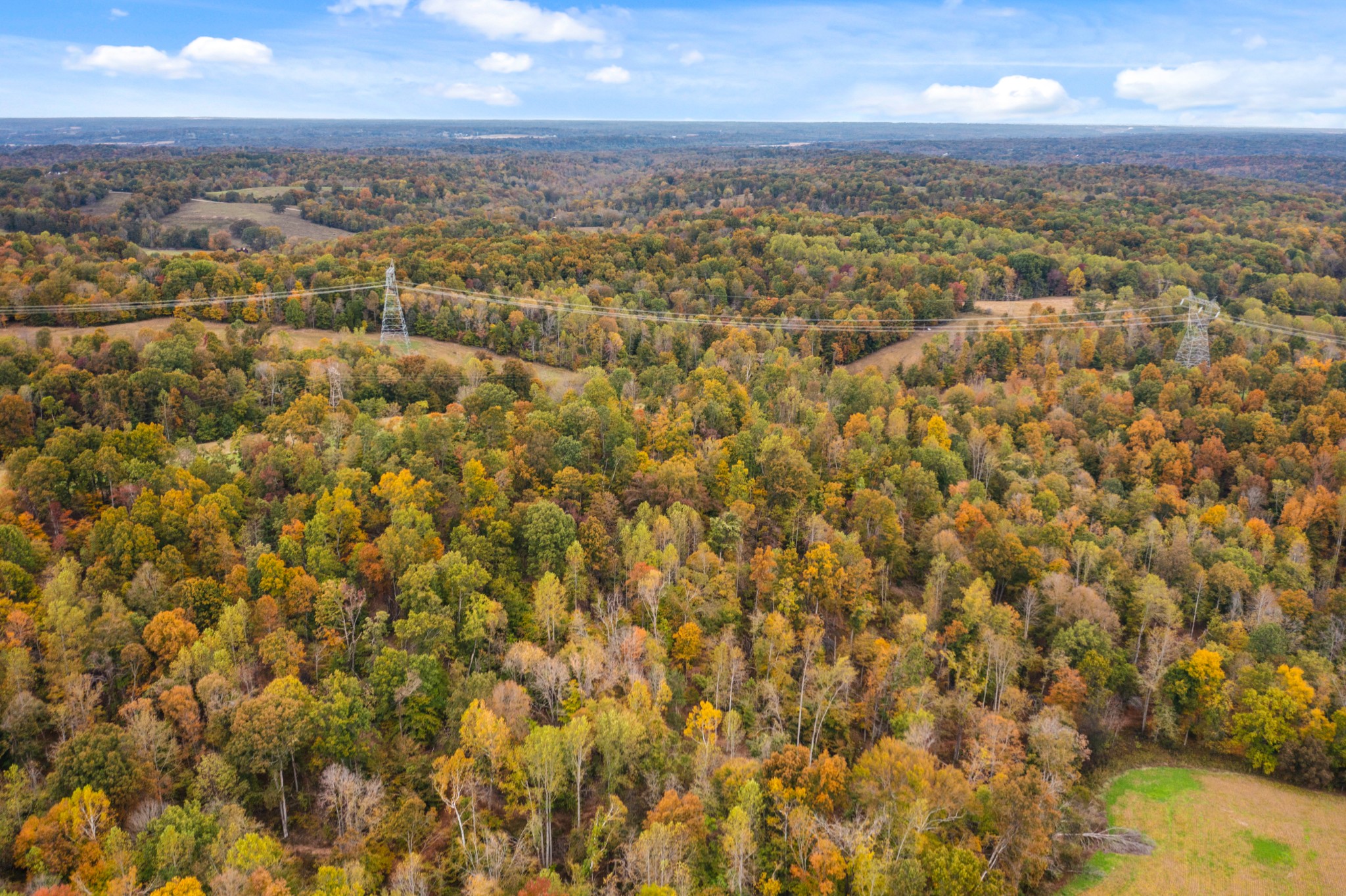 0 Buck Smith Palmyra, TN 37142 - Photo 16 of 28 an aerial view of residential houses with outdoor space