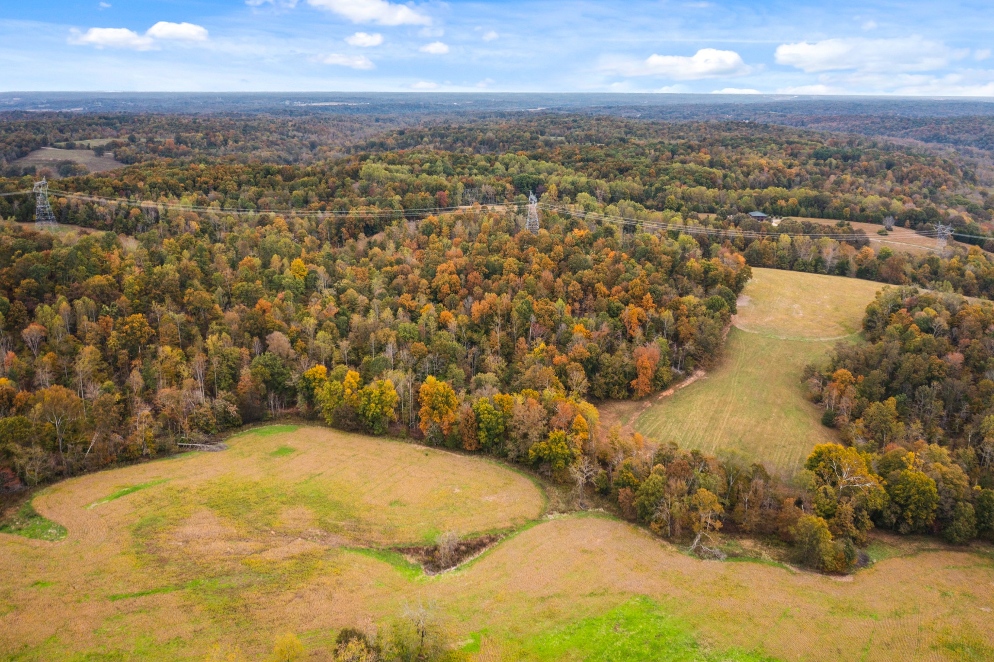 0 Buck Smith Palmyra, TN 37142 - Photo 17 of 28 an aerial view of residential houses with outdoor space