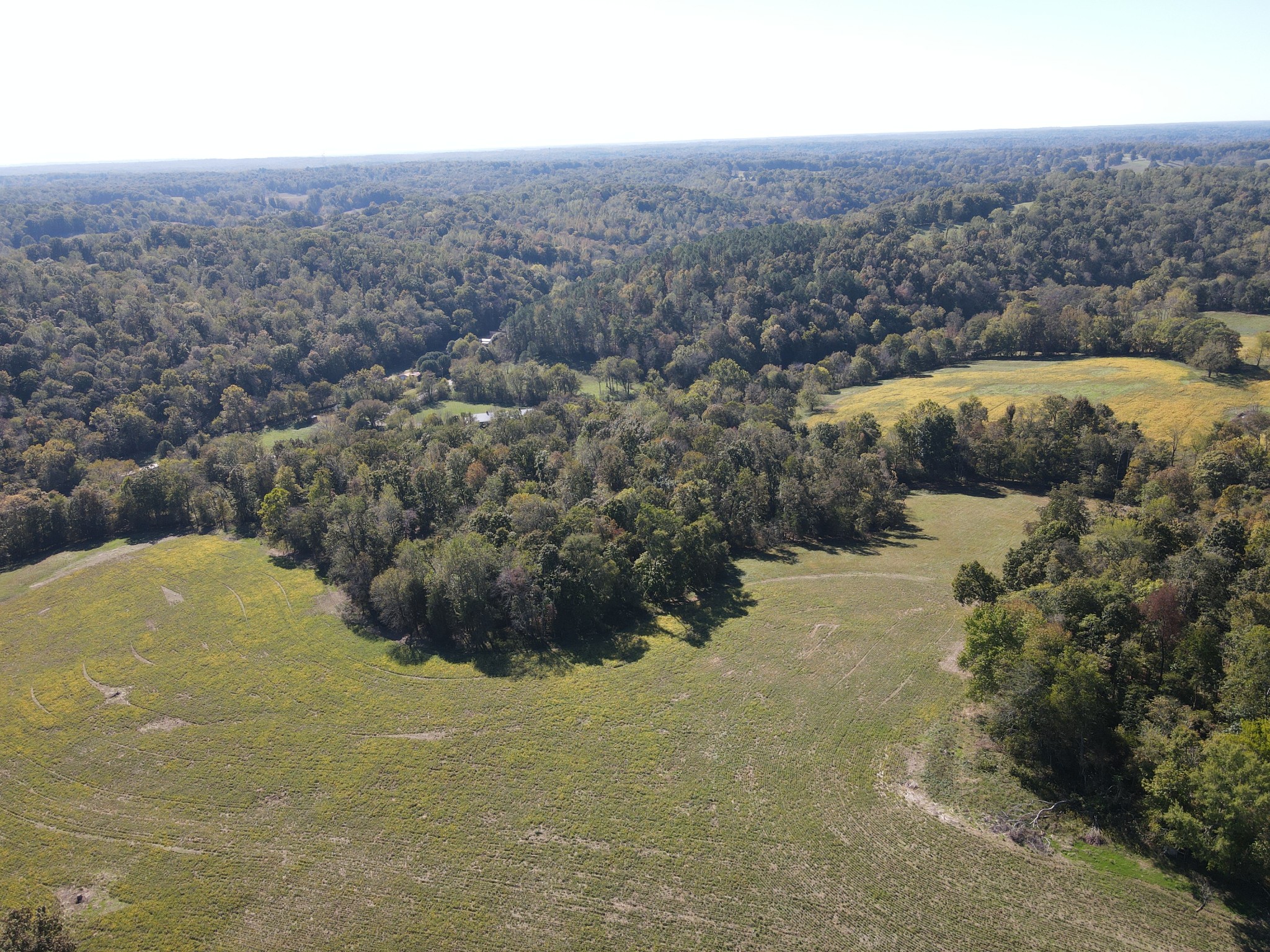 0 Buck Smith Palmyra, TN 37142 - Photo 18 of 28 a view of city and ocean