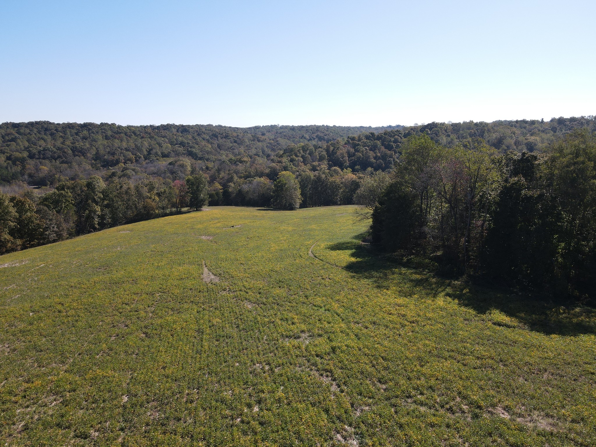 0 Buck Smith Palmyra, TN 37142 - Photo 24 of 28 a view of a mountain view with an ocean