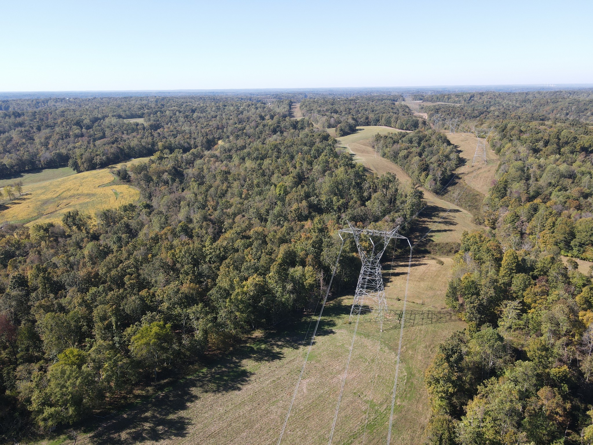 0 Buck Smith Palmyra, TN 37142 - Photo 25 of 28 an aerial view of house with yard
