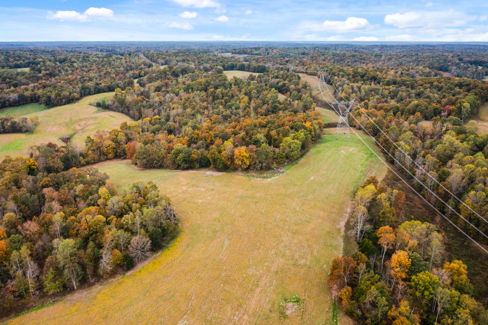 0 Buck Smith Palmyra, TN 37142 - Photo 8 of 28