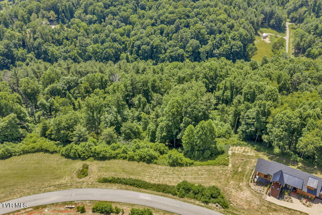 Lot 30 Eagle Rdg Parkway, Unit 30 Butler, TN 37640 - Photo 8 of 28 8-web-or-mls-DJI_20260605120537_0039_D