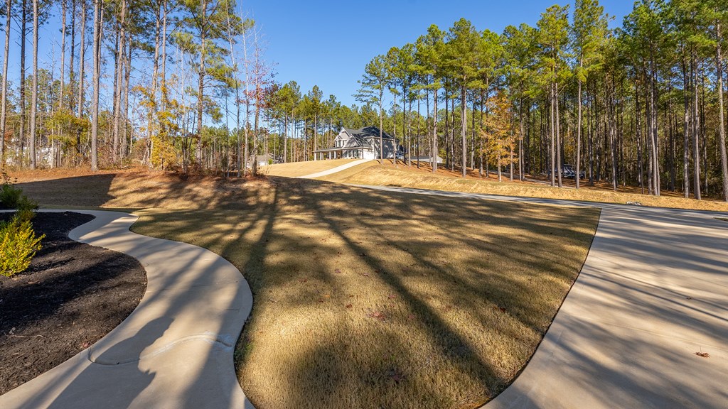 274 James Creek Road Fortson, GA 31808 - Photo 48 of 59 a view of a yard with trees