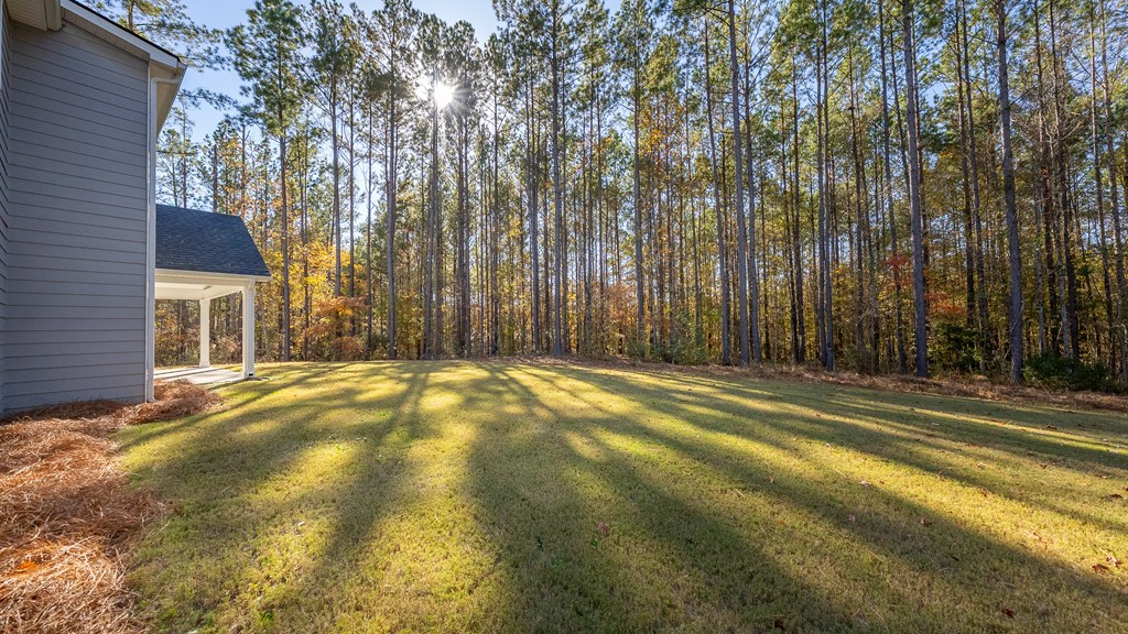 274 James Creek Road Fortson, GA 31808 - Photo 59 of 59 a view of outdoor space and yard