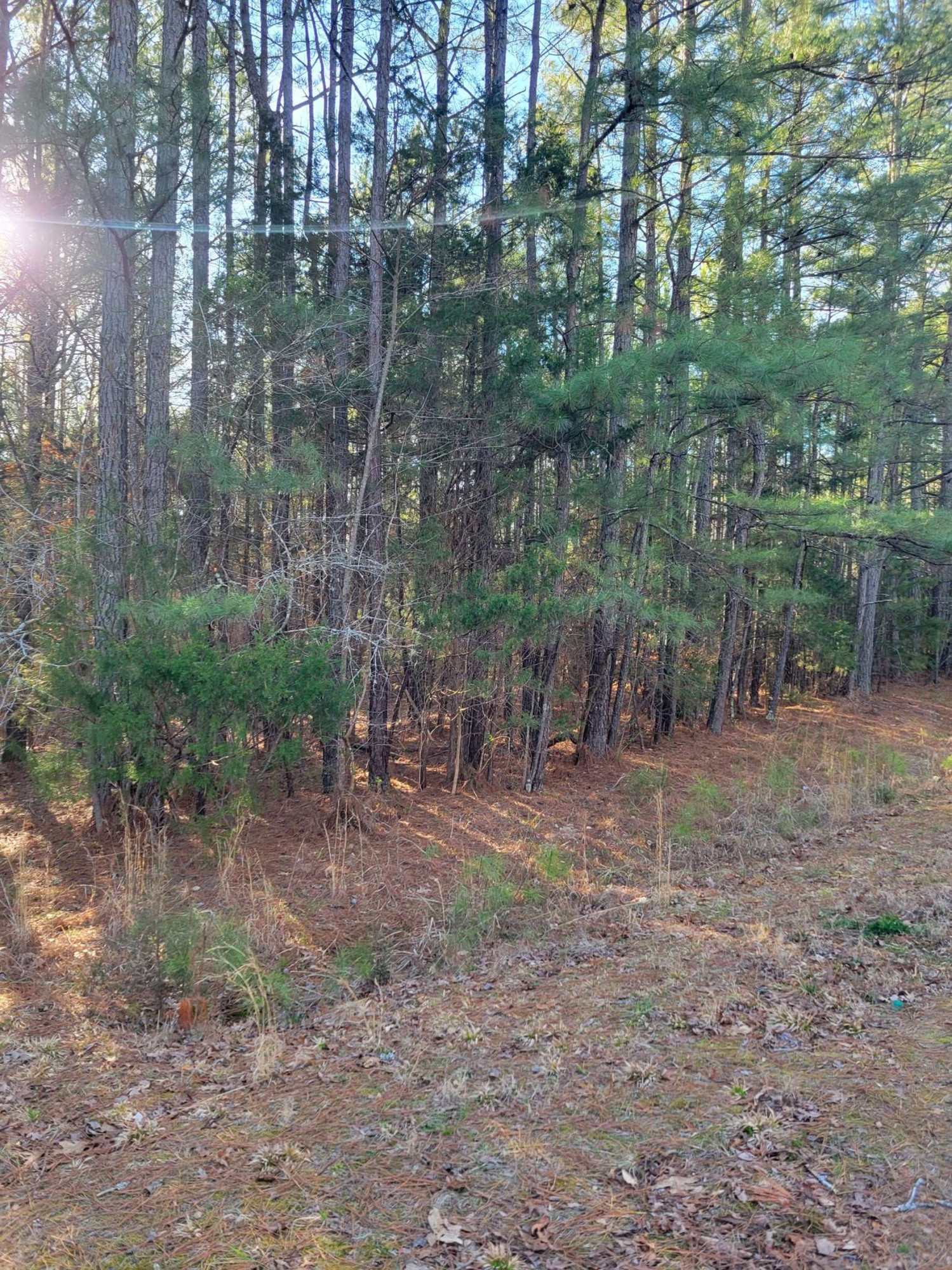 0 Evans Road Henderson, NC 27537 - Photo 2 of 5 a backyard of a house with lots of green space